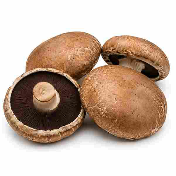 Portobello — fresh mushroom from MUCORA